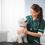 veterinario-con-un-paciente- dodozooft