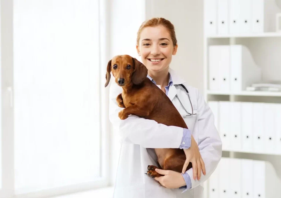 veterinario-con-un-perro-en-sus-brazos- dodozooft
