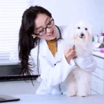 veterinaria-con-un-perro- dodozooft