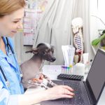 Veterinaria-ocupando-un-computador-junto-a-un-perro- dodozooft