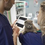 Agenda-veterinaria-online dodozooft